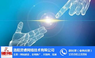 洛陽網(wǎng)站開發(fā)與裝修網(wǎng)站開發(fā)互聯(lián)網(wǎng)銷售費(fèi)用解析